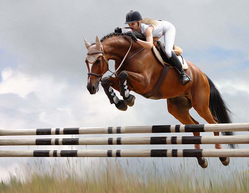 9913028_m Equestrian style riding